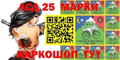 индика Азнакаево