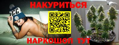 индика Азнакаево