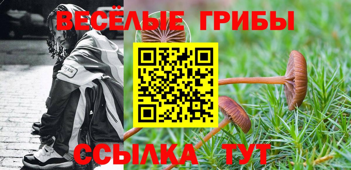 Галлюциногенные грибы MAGIC MUSHROOMS Искитим