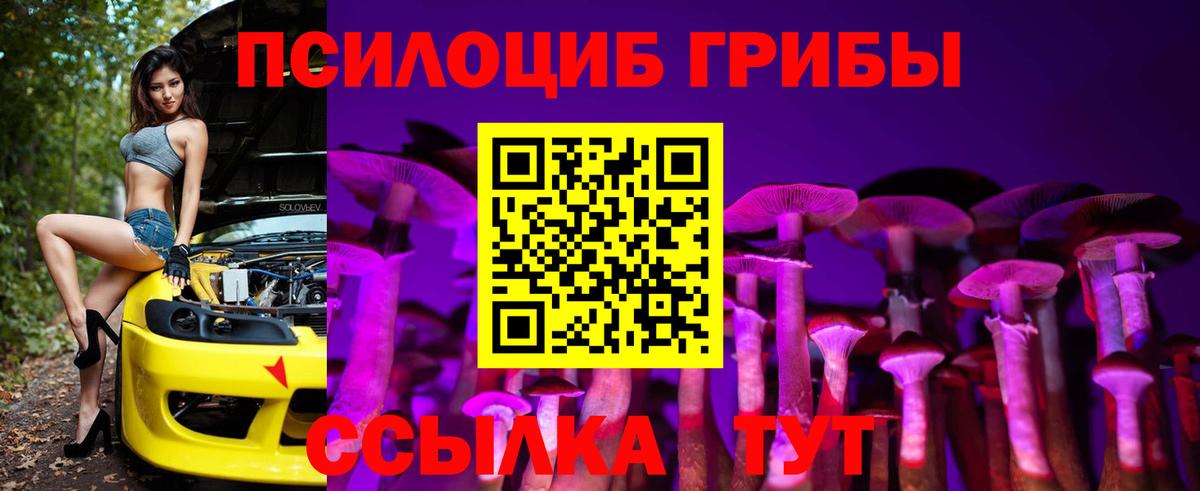 Искитим  где купить наркотик  Вход с VPN  Галлюциногенные грибы GOLDEN TEACHER 