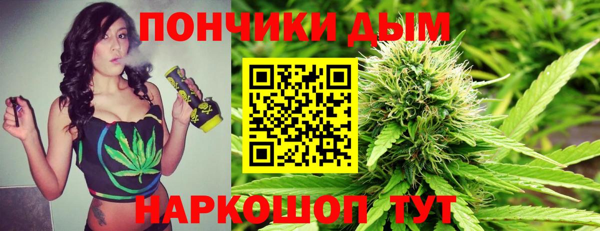 Канабис ГИДРОПОН Искитим